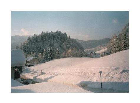 Sport-Alpin-Wohnung-9 Оберстдорф Екстер'єр фото